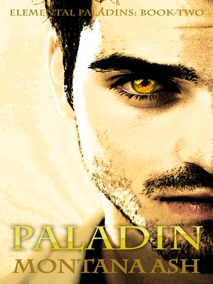 cover image of Paladin (Book Two of the Elemental Paladins series)